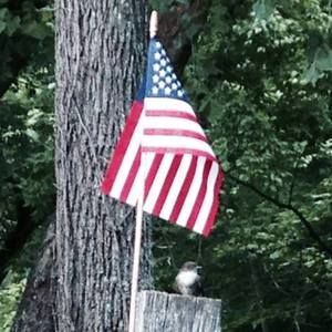 Meet your Posher, Tammy n kelly